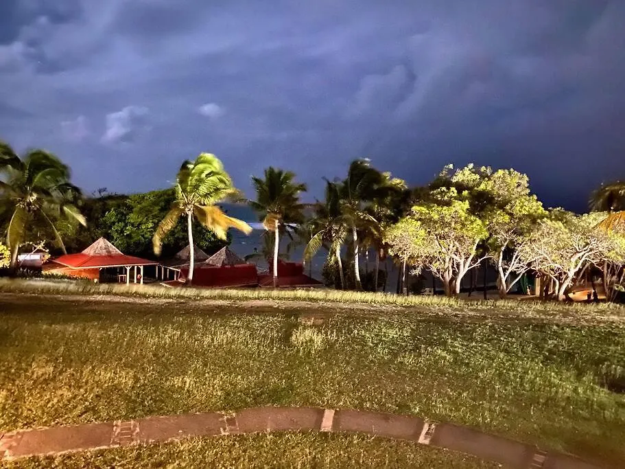Le Paradis Zen Village Vacances 1Er Etage Et Rdc Vue Plage Et Mer Ste Anne サンタンヌ アパート