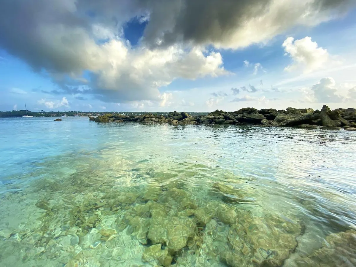 アパート Le Paradis Zen Village Vacances 1Er Etage Et Rdc Vue Plage Et Mer Ste Anne サンタンヌ グアドループ