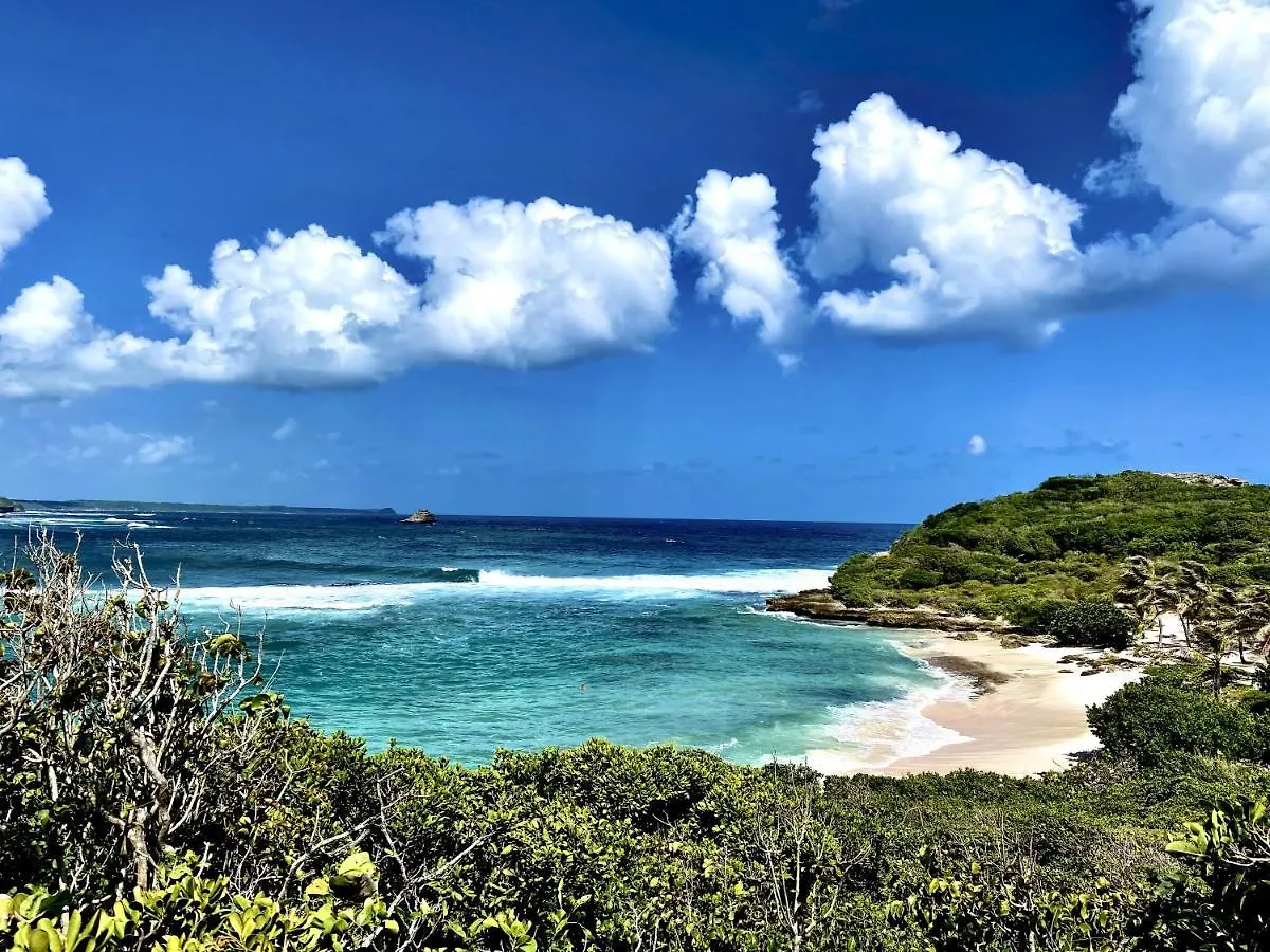 アパート Le Paradis Zen Village Vacances 1Er Etage Et Rdc Vue Plage Et Mer Ste Anne サンタンヌ