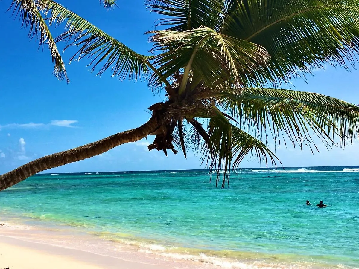 شقة Le Paradis Zen Village Vacances 1Er Etage Et Rdc Vue Plage Et Mer Ste Anne ساينت آن