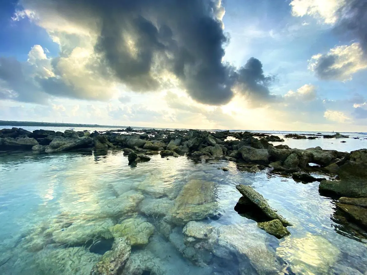 Le Paradis Zen Village Vacances 1Er Etage Et Rdc Vue Plage Et Mer Ste Anne ساينت آن غوادلوب