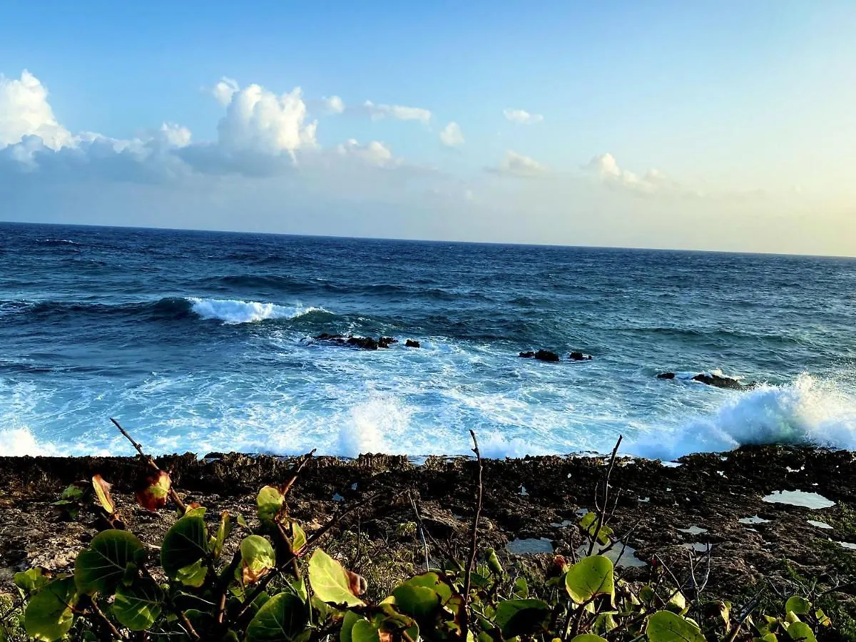 アパート Le Paradis Zen Village Vacances 1Er Etage Et Rdc Vue Plage Et Mer Ste Anne サンタンヌ グアドループ