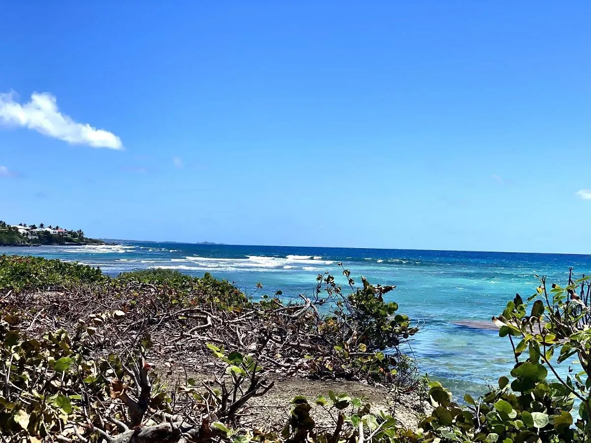 Le Paradis Zen Village Vacances 1Er Etage Et Rdc Vue Plage Et Mer Ste Anne サンタンヌ