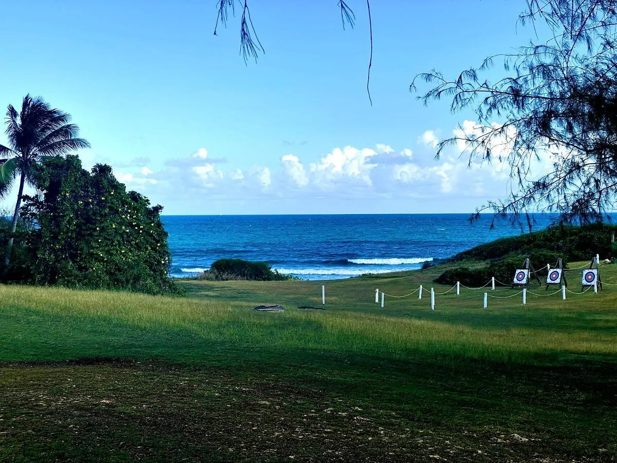 Le Paradis Zen Village Vacances 1Er Etage Et Rdc Vue Plage Et Mer Ste Anne サンタンヌ アパート
