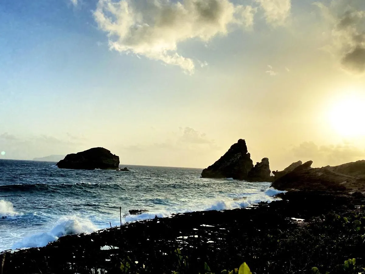 アパート Le Paradis Zen Village Vacances 1Er Etage Et Rdc Vue Plage Et Mer Ste Anne サンタンヌ