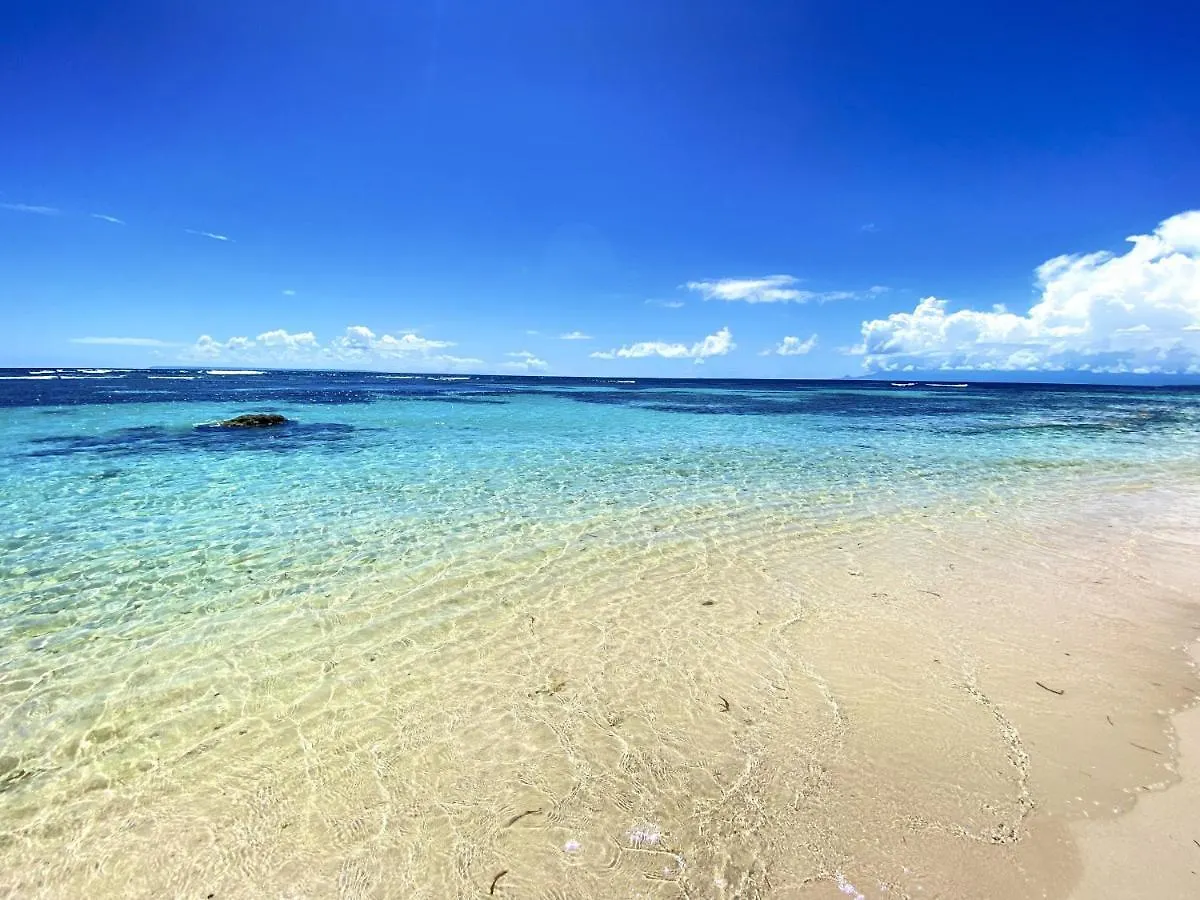Le Paradis Zen Village Vacances 1Er Etage Et Rdc Vue Plage Et Mer Ste Anne サンタンヌ アパート