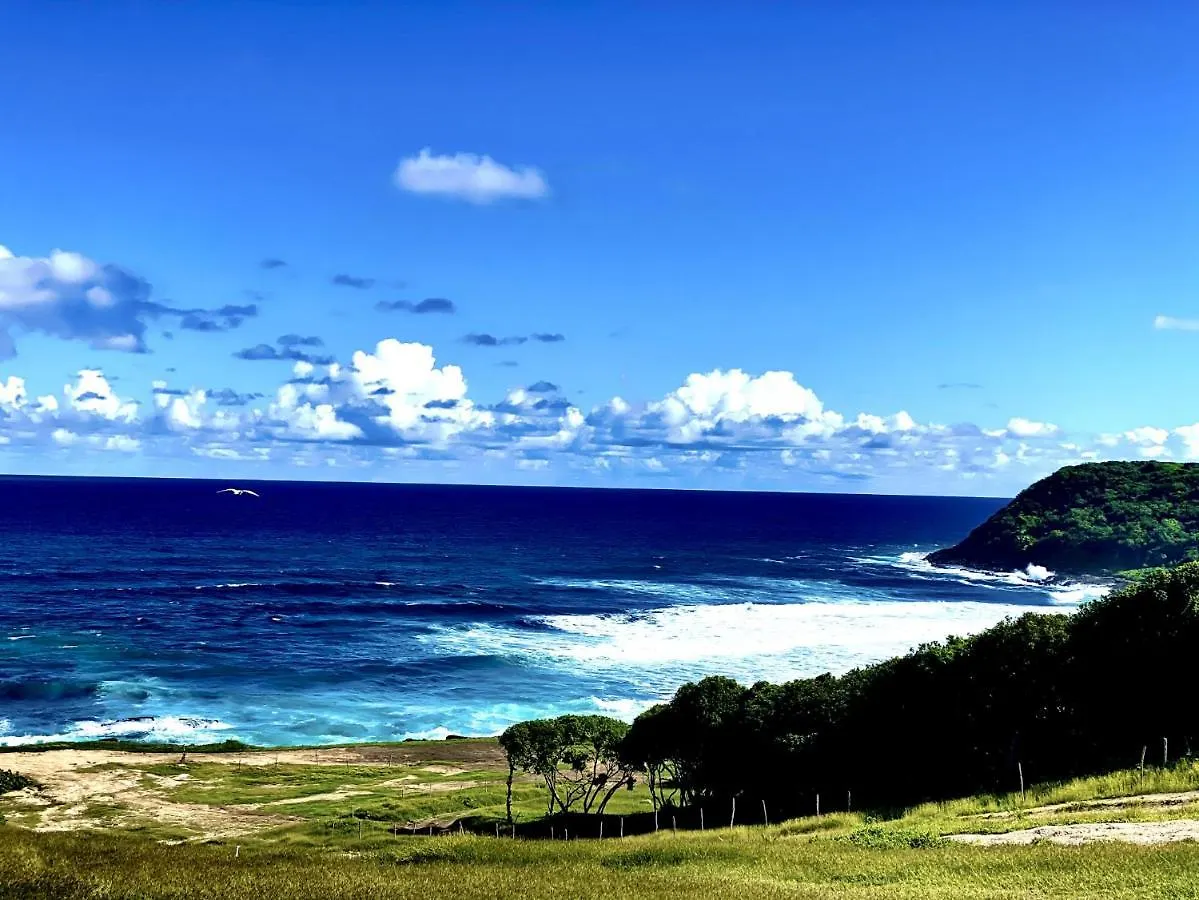 Le Paradis Zen Village Vacances 1Er Etage Et Rdc Vue Plage Et Mer Ste Anne サンタンヌ アパート