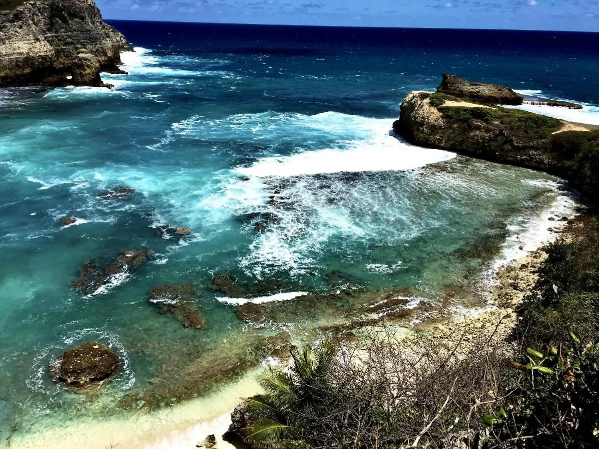 アパート Le Paradis Zen Village Vacances 1Er Etage Et Rdc Vue Plage Et Mer Ste Anne サンタンヌ