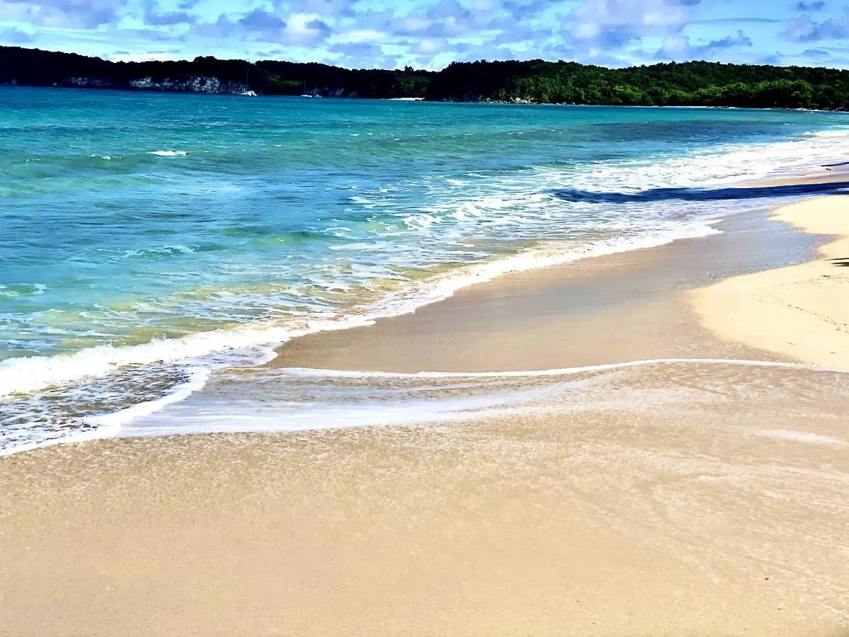 Le Paradis Zen Village Vacances 1Er Etage Et Rdc Vue Plage Et Mer Ste Anne サンタンヌ 0*,  グアドループ