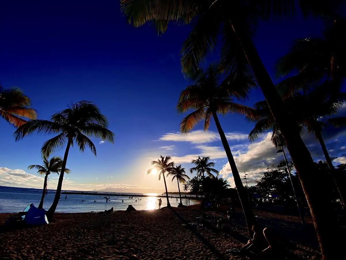 アパート Le Paradis Zen Village Vacances 1Er Etage Et Rdc Vue Plage Et Mer Ste Anne サンタンヌ