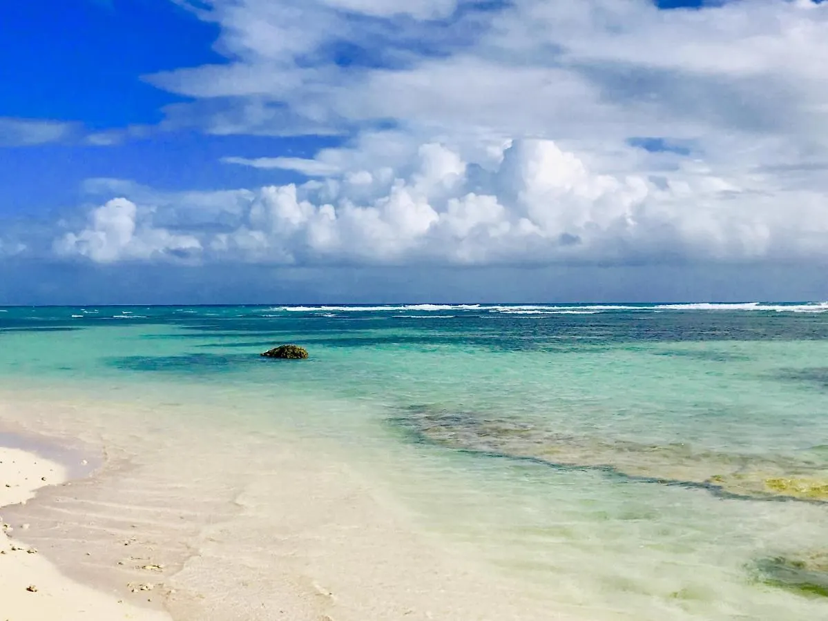 Le Paradis Zen Village Vacances 1Er Etage Et Rdc Vue Plage Et Mer Ste Anne サンタンヌ グアドループ