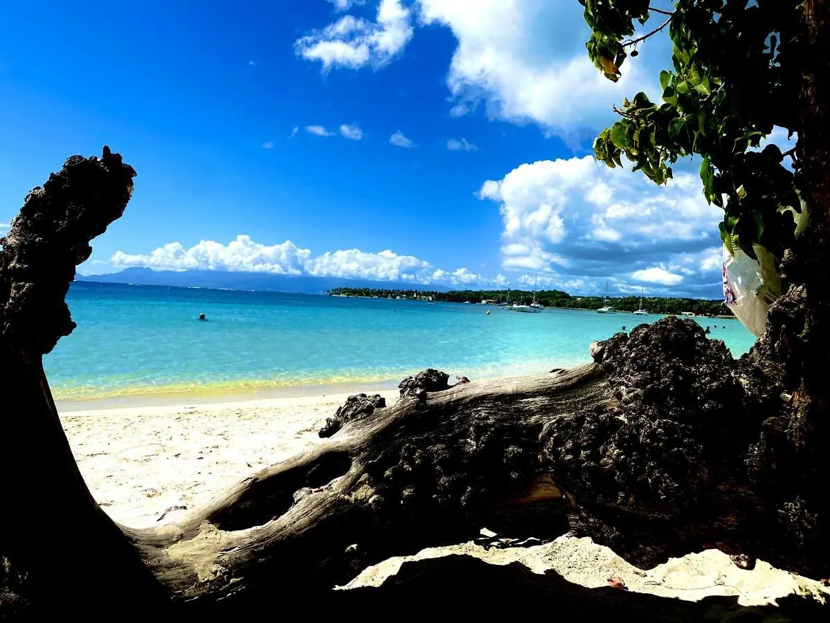 Le Paradis Zen Village Vacances 1Er Etage Et Rdc Vue Plage Et Mer Ste Anne サンタンヌ 0*,  グアドループ