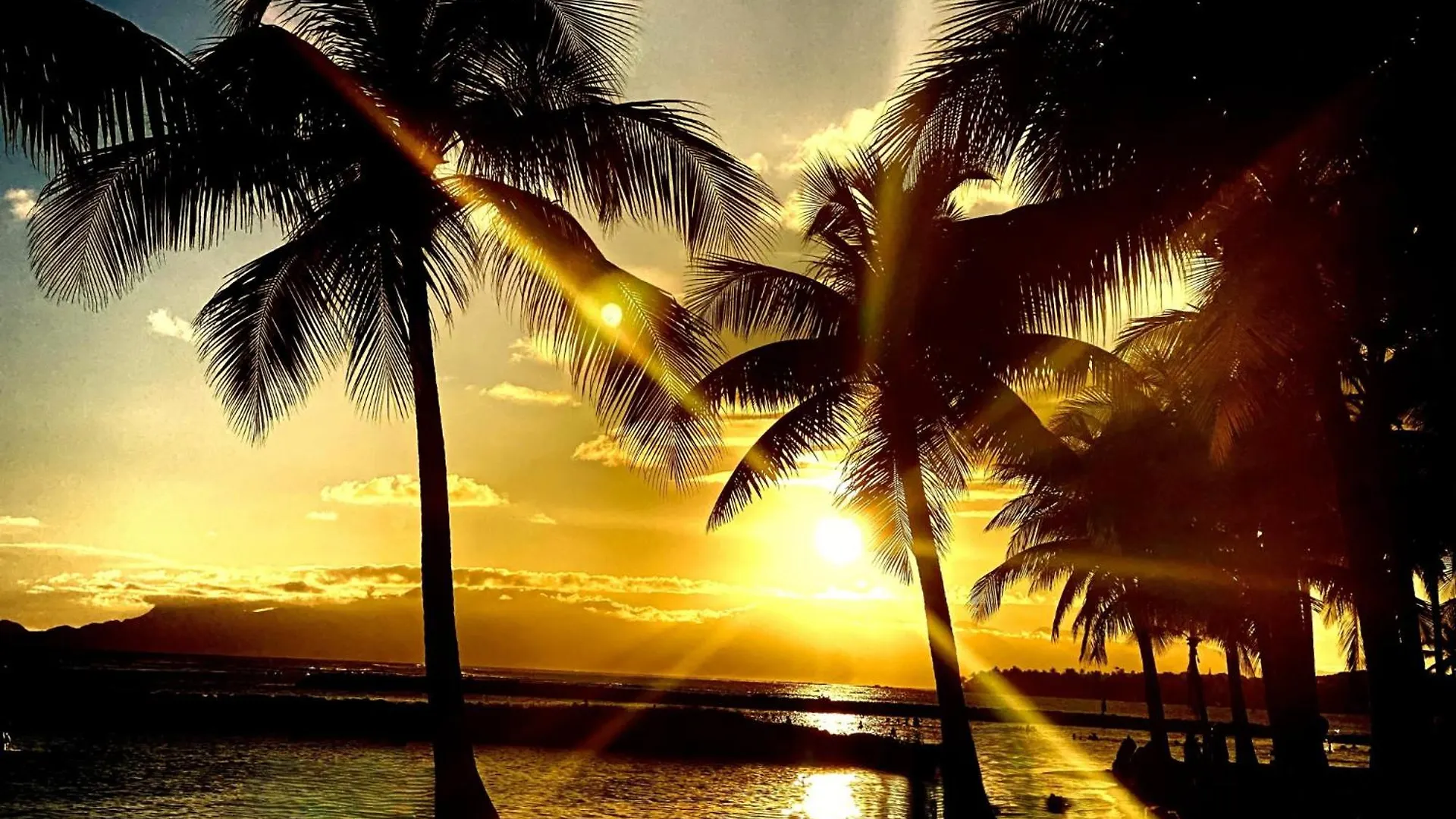 アパート Le Paradis Zen Village Vacances 1Er Etage Et Rdc Vue Plage Et Mer Ste Anne サンタンヌ